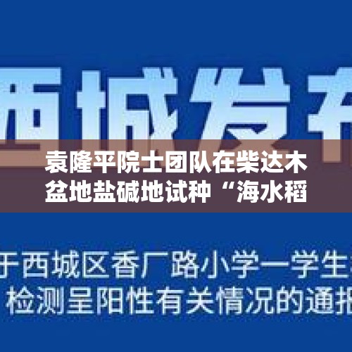 袁隆平院士团队在柴达木盆地盐碱地试种“海水稻”，您如何评价？，何腾飞沙漠种水稻靠什么？