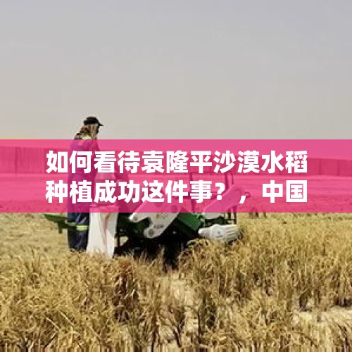 如何看待袁隆平沙漠水稻种植成功这件事？，中国小伙在沙漠成功种出水稻？