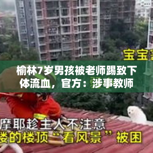 榆林7岁男孩被老师踢致下体流血，官方：涉事教师停职配合调查, 你怎么看？，医学生侮辱大体老师