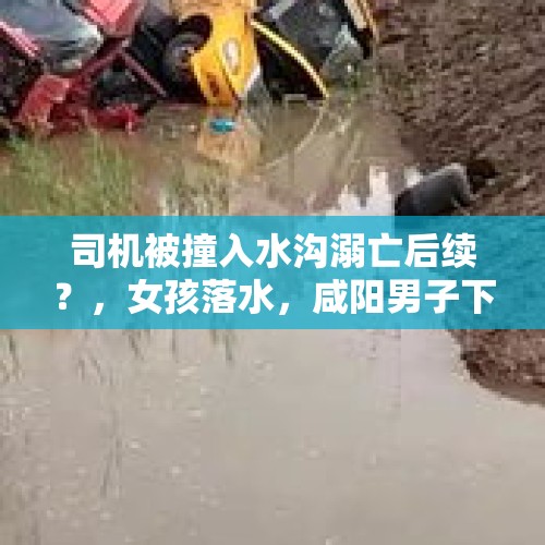 司机被撞入水沟溺亡后续？，女孩落水，咸阳男子下河施救不幸遇难，家属悲痛欲绝, 你怎么看？