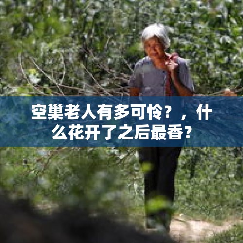 空巢老人有多可怜？，什么花开了之后最香？