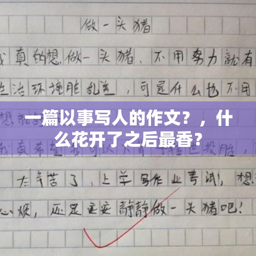 一篇以事写人的作文？，什么花开了之后最香？