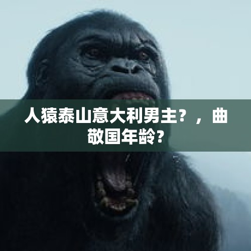 人猿泰山意大利男主？，曲敬国年龄？