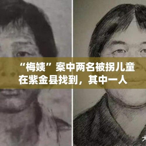 “梅姨”案中两名被拐儿童在紫金县找到，其中一人父亲寻子无果崩溃，跳下火车身亡；另7名儿童警方仍在找。你怎么看？，fragile小女孩最后怎么样了？