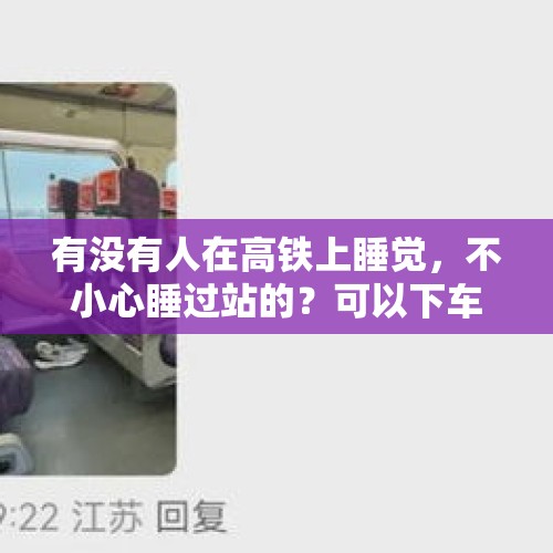 有没有人在高铁上睡觉，不小心睡过站的？可以下车再坐回去吗？，有人连上过高铁的Wi-Fi吗？