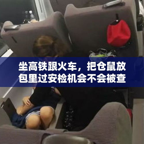 坐高铁跟火车，把仓鼠放包里过安检机会不会被查出来，放身上口袋里能带走么？，高铁卫生间的坐便器，个人感觉不科学，经常被踩，不卫生，有安全隐患，你们怎么看？