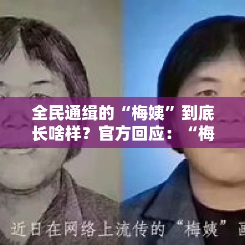 全民通缉的“梅姨”到底长啥样？官方回应：“梅姨”身份与长相暂未查实，你怎么看？，梅姨案两名人贩被执行死刑，梅姨究竟是谁？她是真实存在的吗？