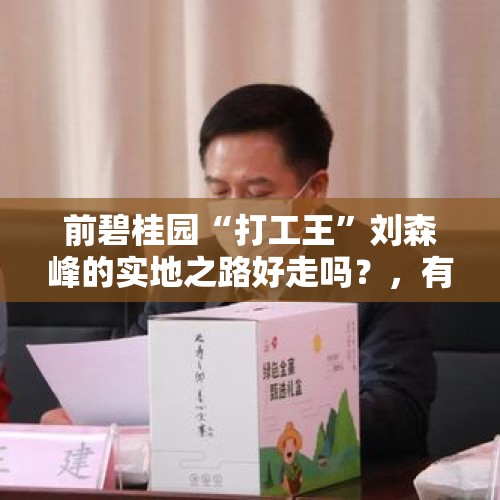 前碧桂园“打工王”刘森峰的实地之路好走吗？，有哪些能上市却还没上市的巨头？