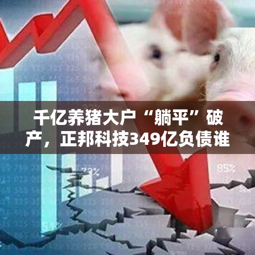 千亿养猪大户“躺平”破产，正邦科技349亿负债谁来接盘？，为什么这两年看不到小米黎万强了？