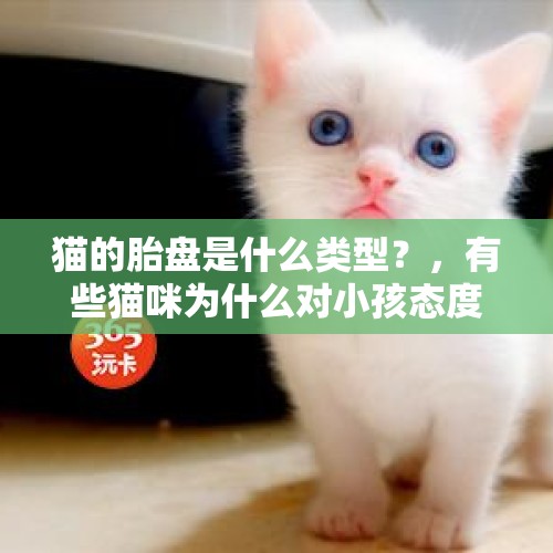 猫的胎盘是什么类型？，有些猫咪为什么对小孩态度比较好？