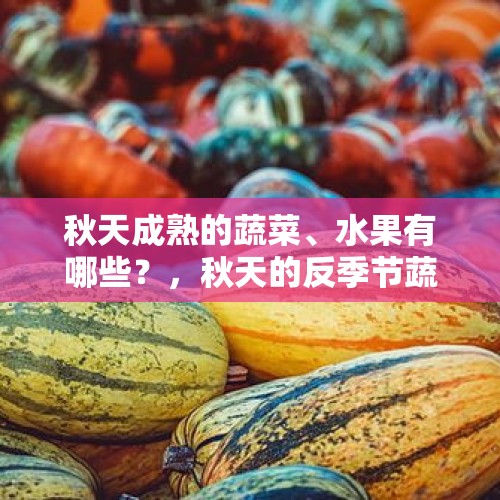 秋天成熟的蔬菜、水果有哪些？，秋天的反季节蔬菜有哪些？