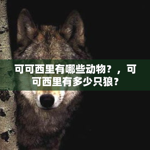 可可西里有哪些动物？，可可西里有多少只狼？