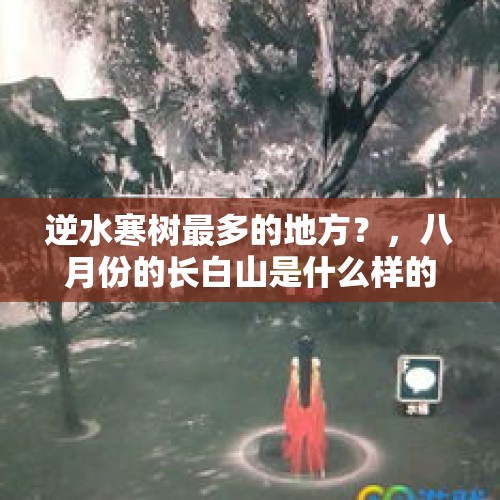 逆水寒树最多的地方？，八月份的长白山是什么样的？