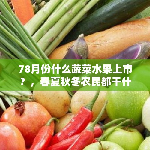 78月份什么蔬菜水果上市？，春夏秋冬农民都干什么？