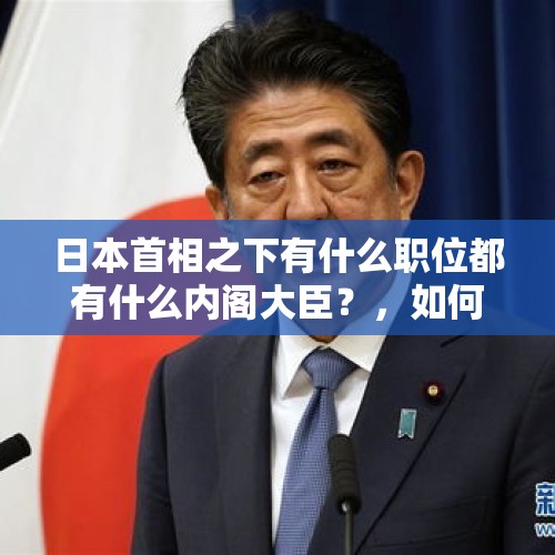 日本首相之下有什么职位都有什么内阁大臣？，如何看待因“森友学园”问题，日本民众举行抗议游行要求安倍内阁总辞职？