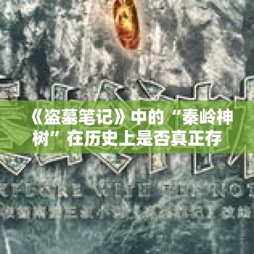 《盗墓笔记》中的“秦岭神树”在历史上是否真正存在？，长白山现珍稀古树群