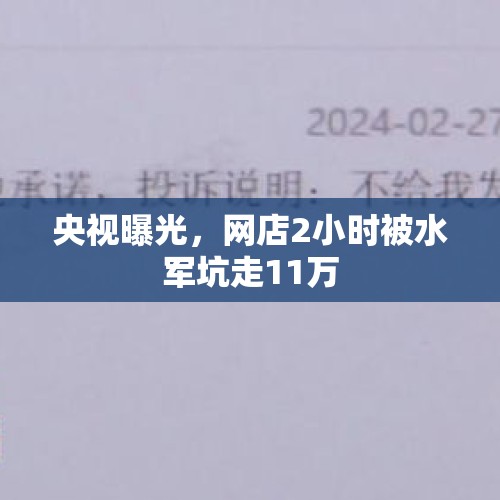 央视曝光，网店2小时被水军坑走11万