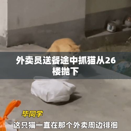 外卖员送餐途中抓猫从26楼抛下