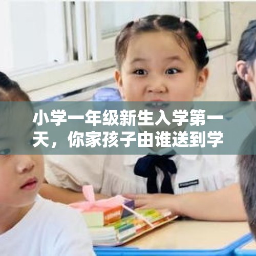 小学一年级新生入学第一天，你家孩子由谁送到学校去的？是一人还是几个人送去的？，你住的村子有小学吗？小孩上学怎么解决的？