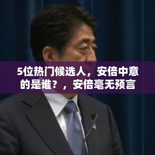 5位热门候选人，安倍中意的是谁？，安倍毫无预言的前下辞职了，下一届首相会是谁？多久之后会辞职？