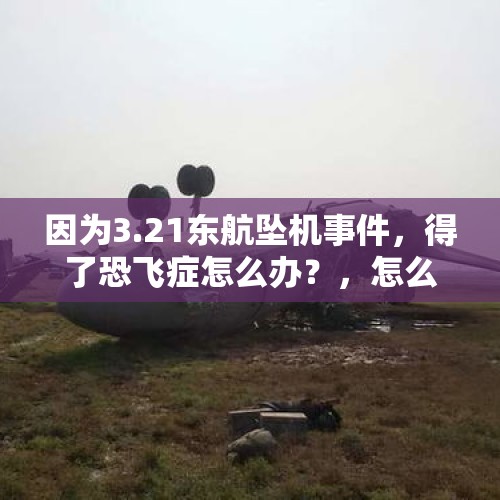 因为3.21东航坠机事件，得了恐飞症怎么办？，怎么看待武汉协和医院护士坠楼事件？