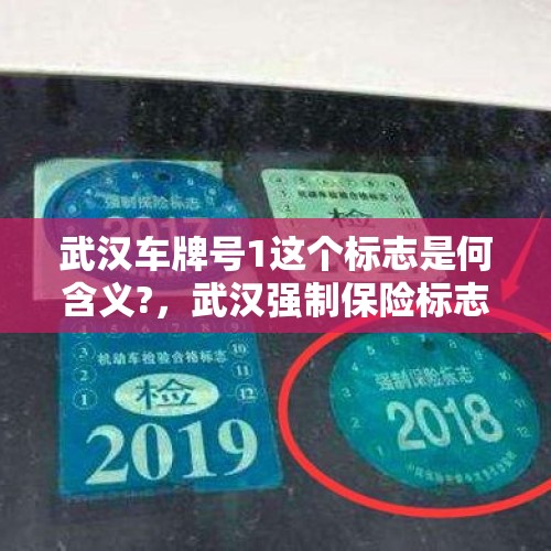 武汉车牌号1这个标志是何含义?，武汉强制保险标志取消了吗？