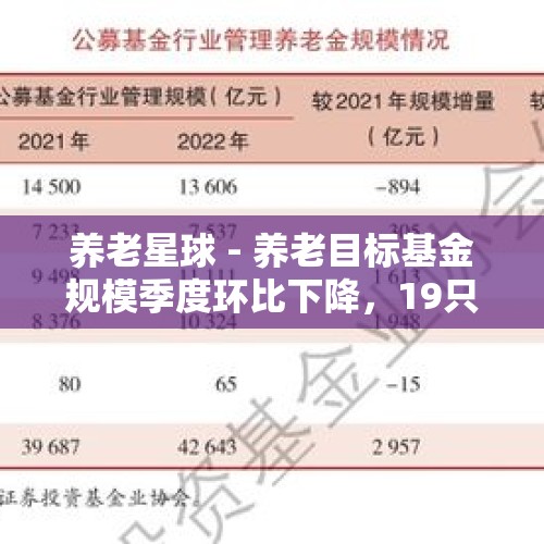 养老星球 - 养老目标基金规模季度环比下降，19只养老目标基金近一个季度份额减少超5000万份