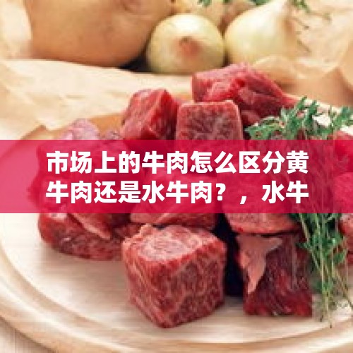 市场上的牛肉怎么区分黄牛肉还是水牛肉？，水牛是怎么发展？