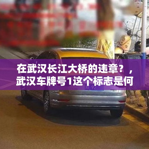 在武汉长江大桥的违章？，武汉车牌号1这个标志是何含义?