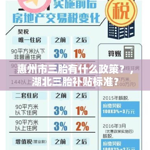 惠州市三胎有什么政策？，湖北三胎补贴标准？