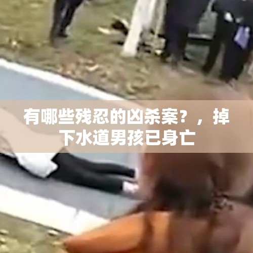 有哪些残忍的凶杀案？，掉下水道男孩已身亡