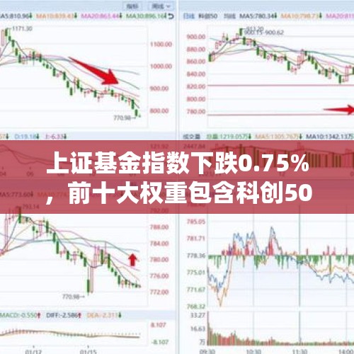 上证基金指数下跌0.75%，前十大权重包含科创50等