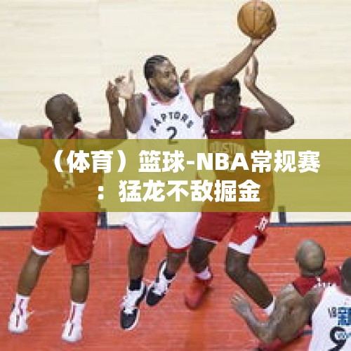 （体育）篮球-NBA常规赛：猛龙不敌掘金