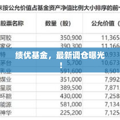 绩优基金，最新调仓曝光！