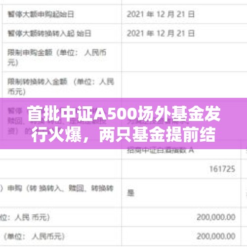 首批中证A500场外基金发行火爆，两只基金提前结束募集