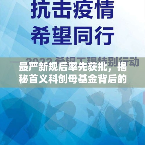 最严新规后率先获批，揭秘首义科创母基金背后的神秘面纱