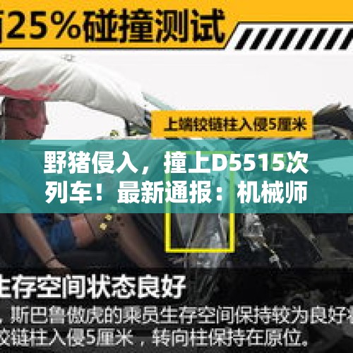 野猪侵入，撞上D5515次列车！最新通报：机械师身亡