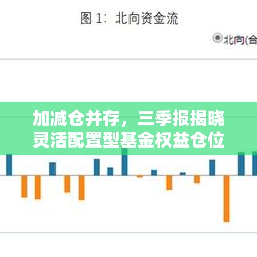 加减仓并存，三季报揭晓灵活配置型基金权益仓位变动｜基金放大镜