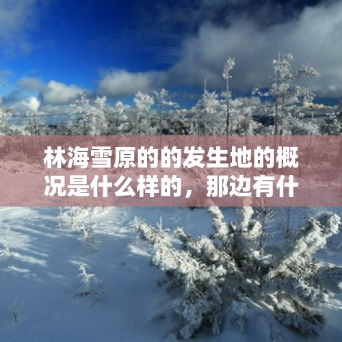 林海雪原的的发生地的概况是什么样的，那边有什么旅游项目吗？，景波湖是什么地方？