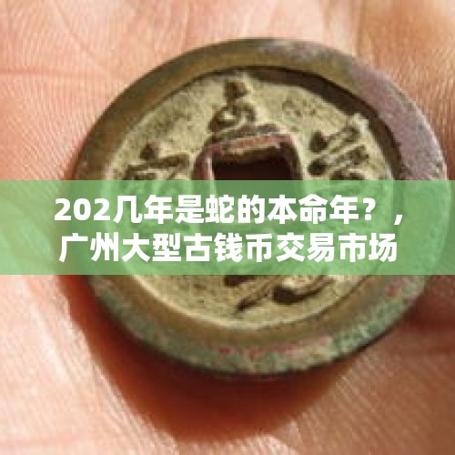 202几年是蛇的本命年？，广州大型古钱币交易市场在哪里？