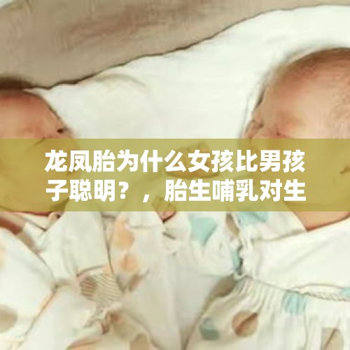 龙凤胎为什么女孩比男孩子聪明？，胎生哺乳对生物智商有无作用，恐人有可能进化出来吗？