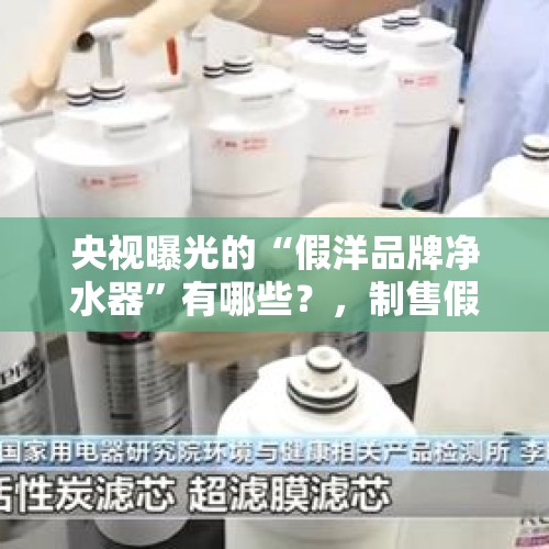 央视曝光的“假洋品牌净水器”有哪些？，制售假名牌涉案千万