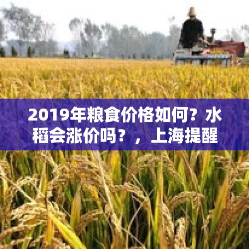 2019年粮食价格如何？水稻会涨价吗？，上海提醒囤水囤粮