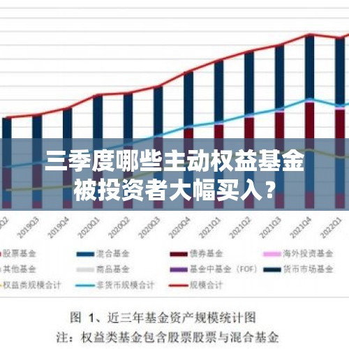 三季度哪些主动权益基金被投资者大幅买入？