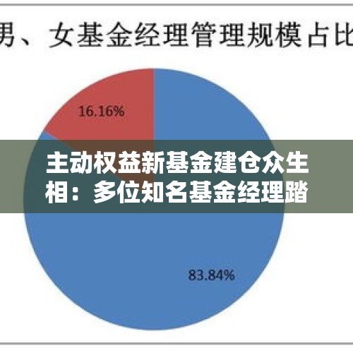 主动权益新基金建仓众生相：多位知名基金经理踏空？也有产品成立不足两月大涨近40%