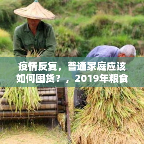 疫情反复，普通家庭应该如何囤货？，2019年粮食价格如何？水稻会涨价吗？