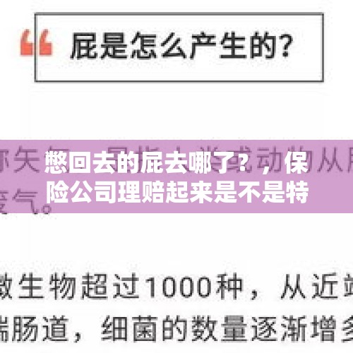 憋回去的屁去哪了？，保险公司理赔起来是不是特别慢？大小保险公司理赔时间有区别吗？