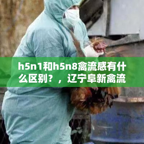 h5n1和h5n8禽流感有什么区别？，辽宁阜新禽流感发生情况？