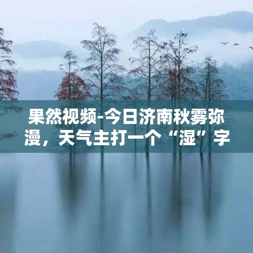 果然视频-今日济南秋雾弥漫，天气主打一个“湿”字