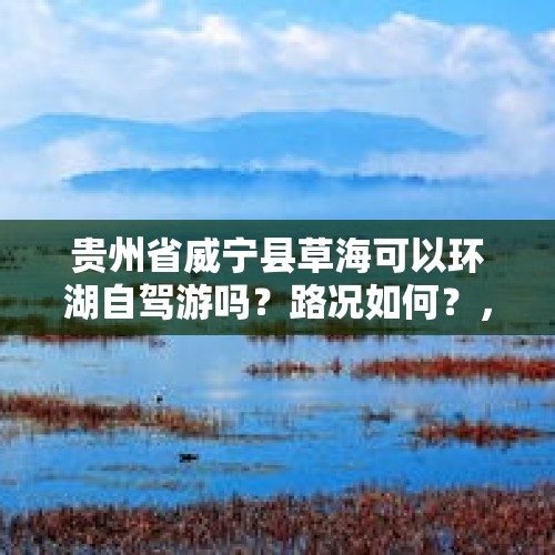 贵州省威宁县草海可以环湖自驾游吗？路况如何？，是不是所有的麻雀都会在冬天里死去？